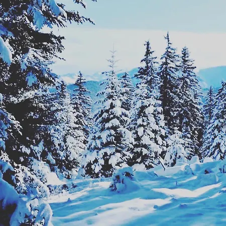La Kabylie Au Coeur Des 3 Vallees Internet 타라스콩쉬르아리줴