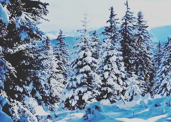 La Kabylie Au Coeur Des 3 Vallees Internet Tarascon-sur-Ariège